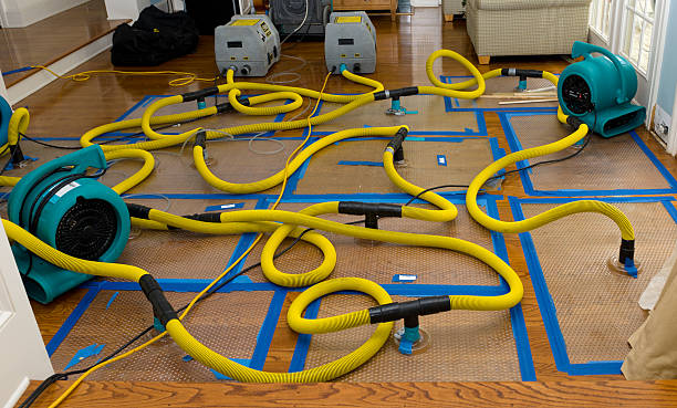 Professional Basement Flood Cleanup technician working in Oronoco, MN